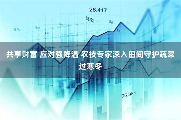 共享财富 应对强降温 农技专家深入田间守护蔬菜过寒冬