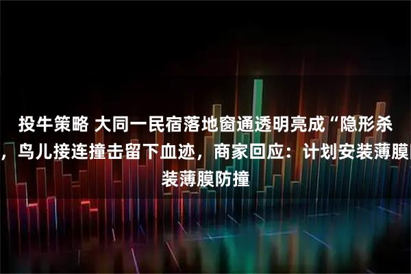 投牛策略 大同一民宿落地窗通透明亮成“隐形杀手”，鸟儿接连撞击留下血迹，商家回应：计划安装薄膜防撞