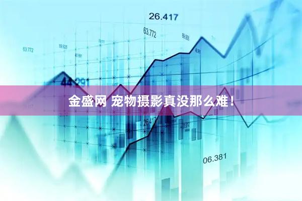 金盛网 宠物摄影真没那么难！