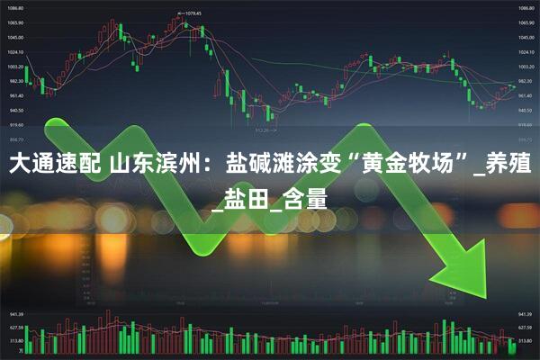 大通速配 山东滨州：盐碱滩涂变“黄金牧场”_养殖_盐田_含量